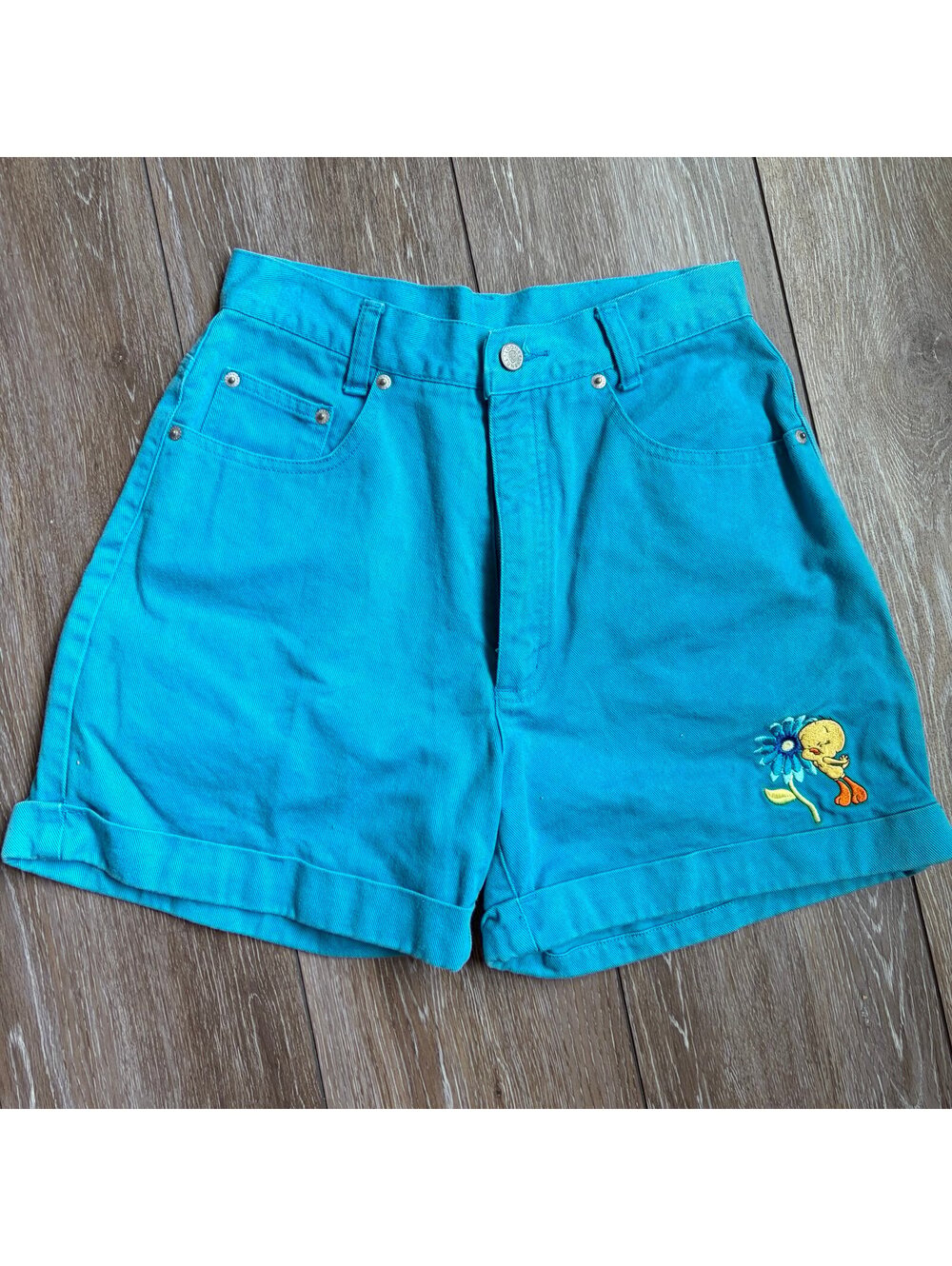 Vintage 90s Warner Bros Studio Store Tweety Bird Shorts Women’s Turquoise